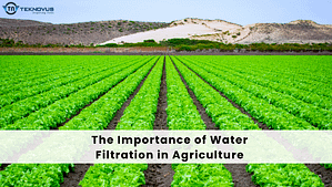 Importance of Water Filtration in Agriculture
